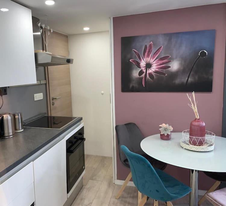 Nice Apartmet N&N Lägenhet Zadar Exteriör bild